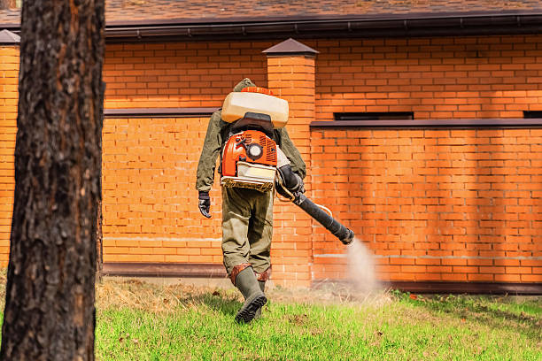 Trusted Ant Control service in Valley Mills, TX - Nex Pest Control
